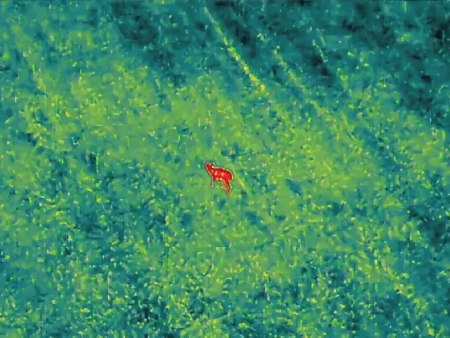 Drone shot 6