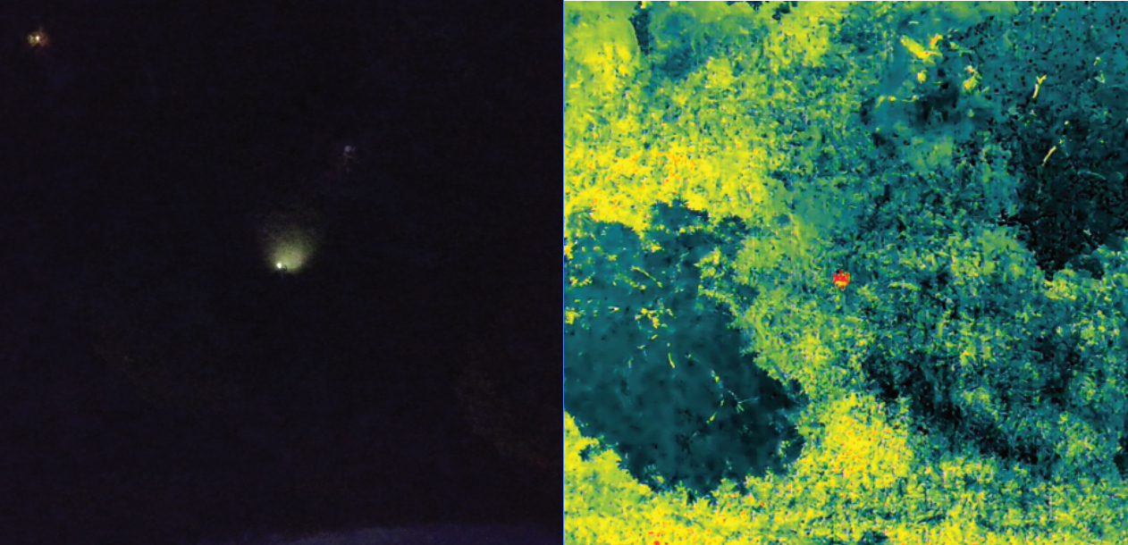 Thermal Vision Drone Comparison